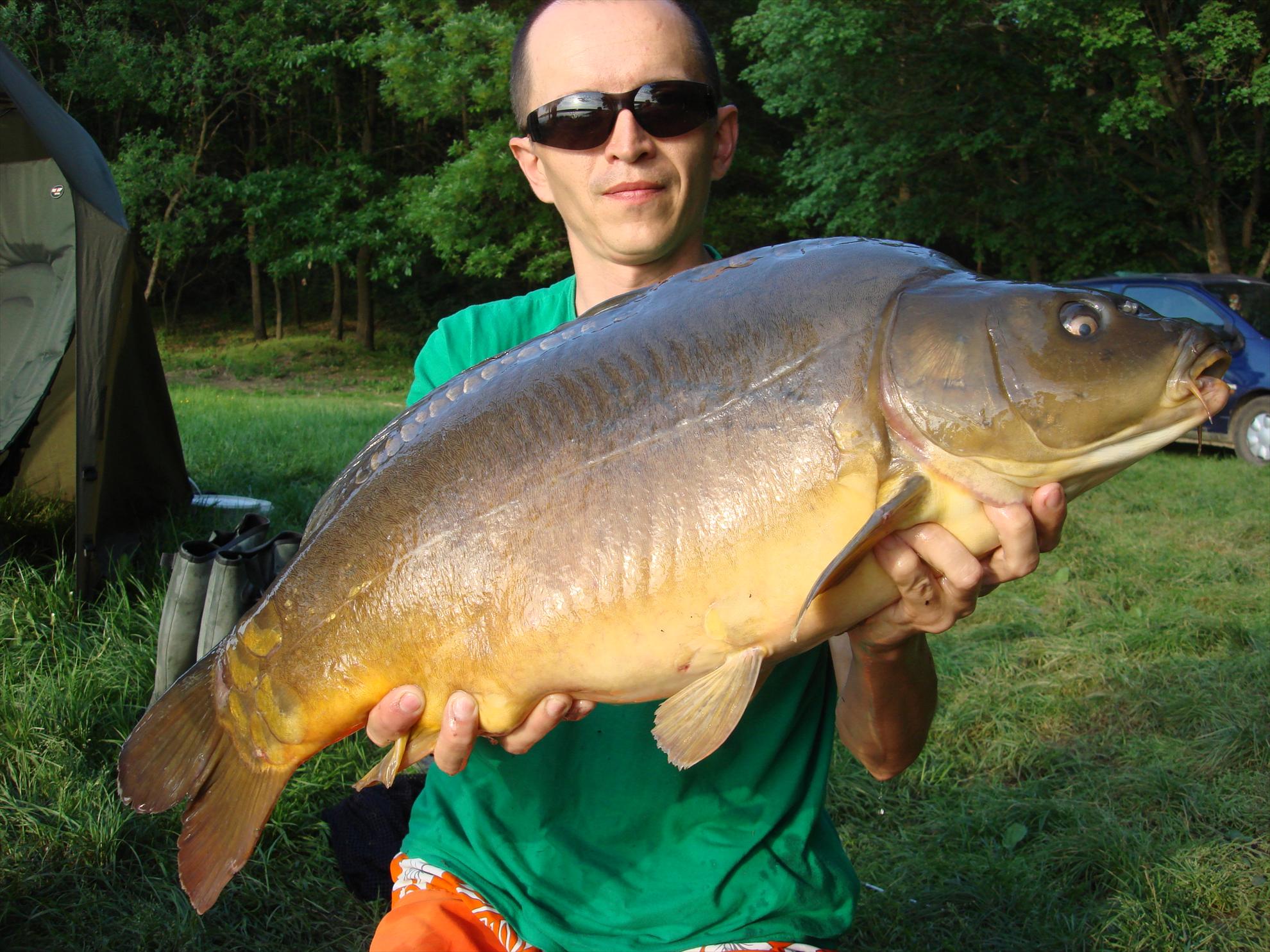 Cetariu Mai 2013 - dsc06097.JPG